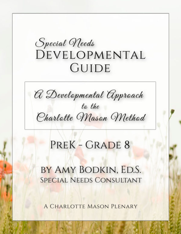 Special Needs Homeschooling Developmental Guide by Amy Bodkin, Ed.S.